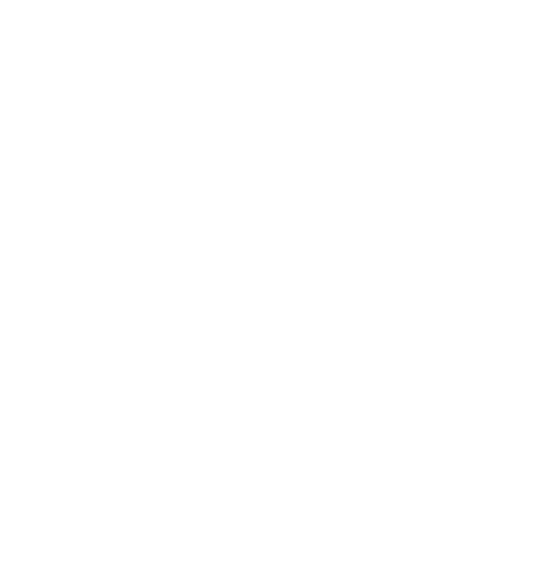 Flor de Lis Assessoria
